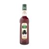Mathieu Teisseire Blackberry Syrup