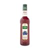 Mathieu Teisseire Blueberry Syrup
