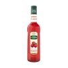 Mathieu Teisseire Cranberry Syrup