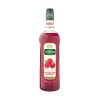 Mathieu Teisseire Raspberry Syrup
